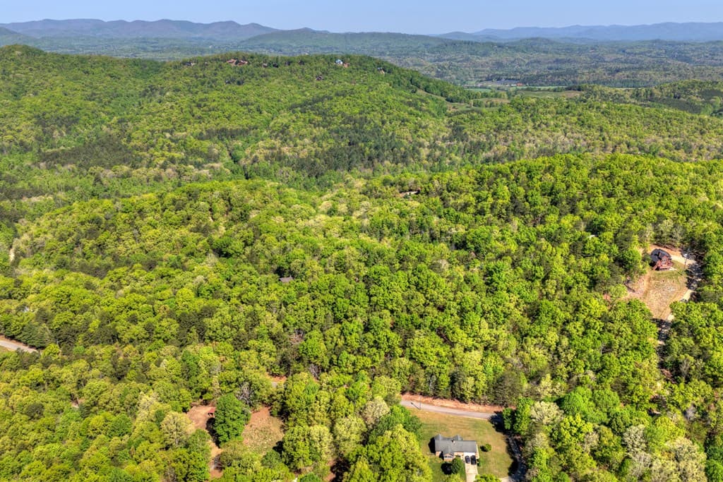 769 Voylestown Road, Morganton GA 30560 - Photo