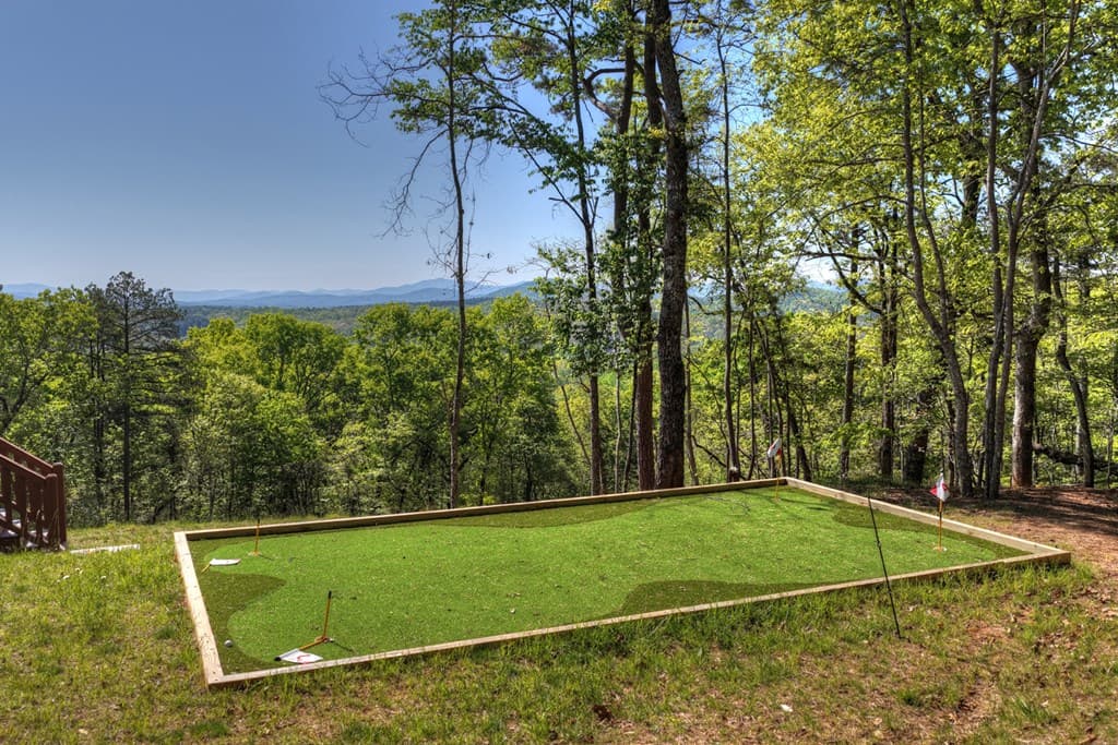 769 Voylestown Road, Morganton GA 30560 - Photo