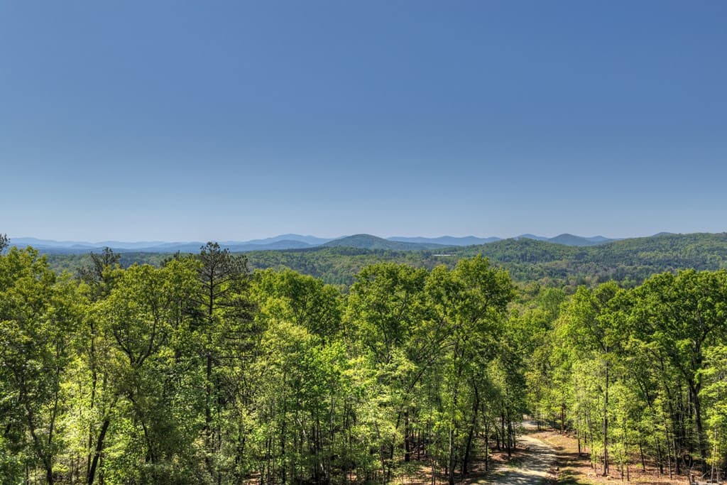769 Voylestown Road, Morganton GA 30560 - Photo