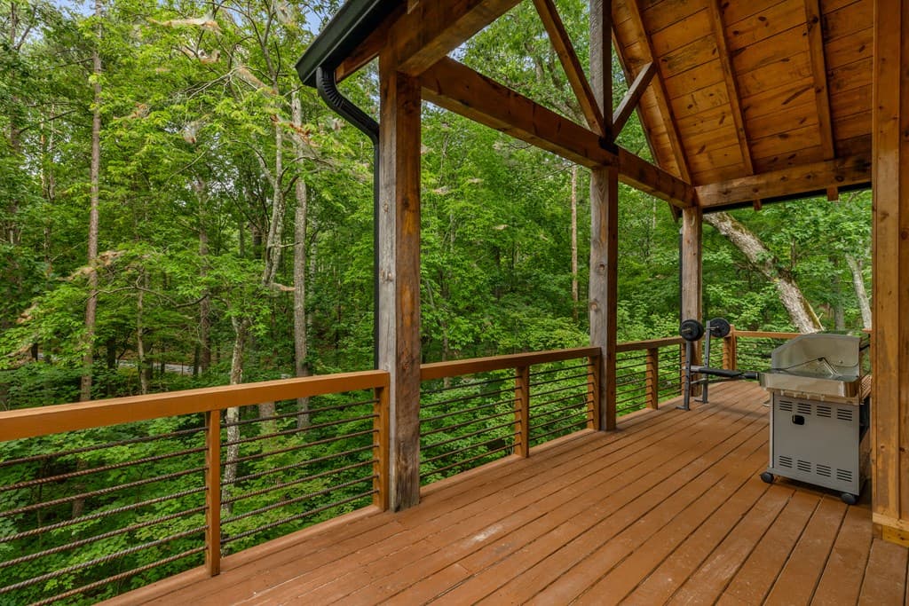 154 Nexus Court, Ellijay GA 30540 - Photo