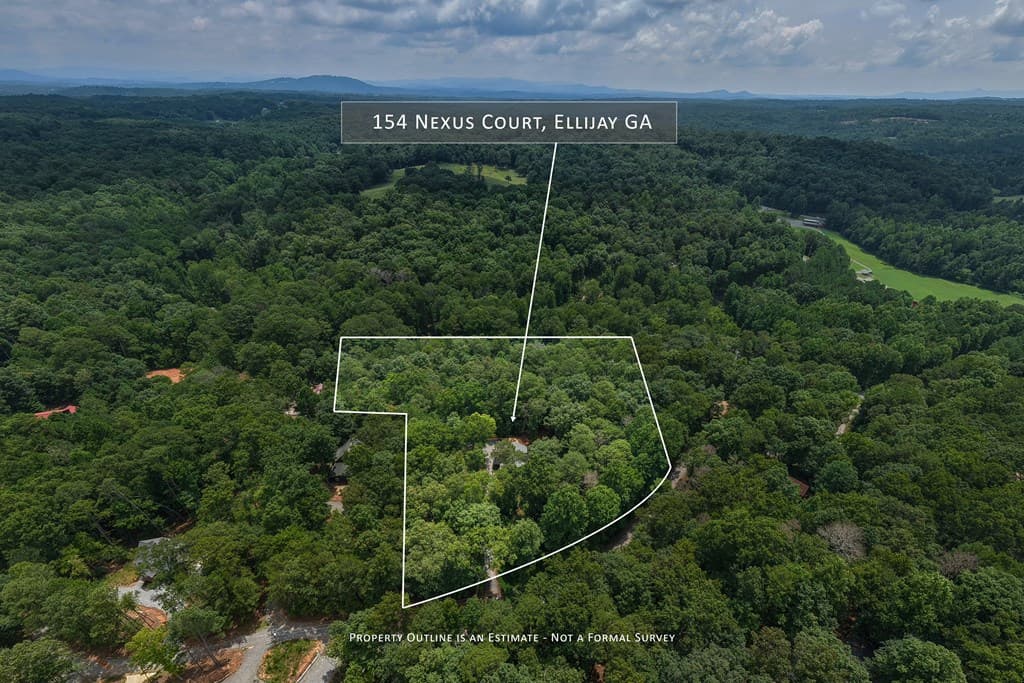 154 Nexus Court, Ellijay GA 30540 - Photo