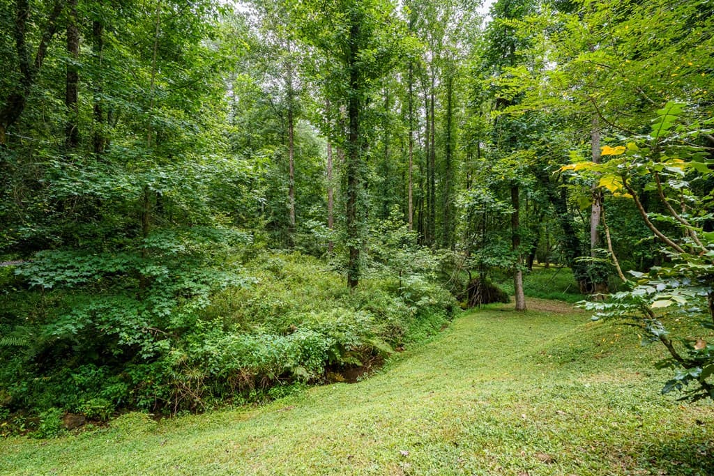 120 Shenendoa Drive, Ellijay GA 30540 - Photo