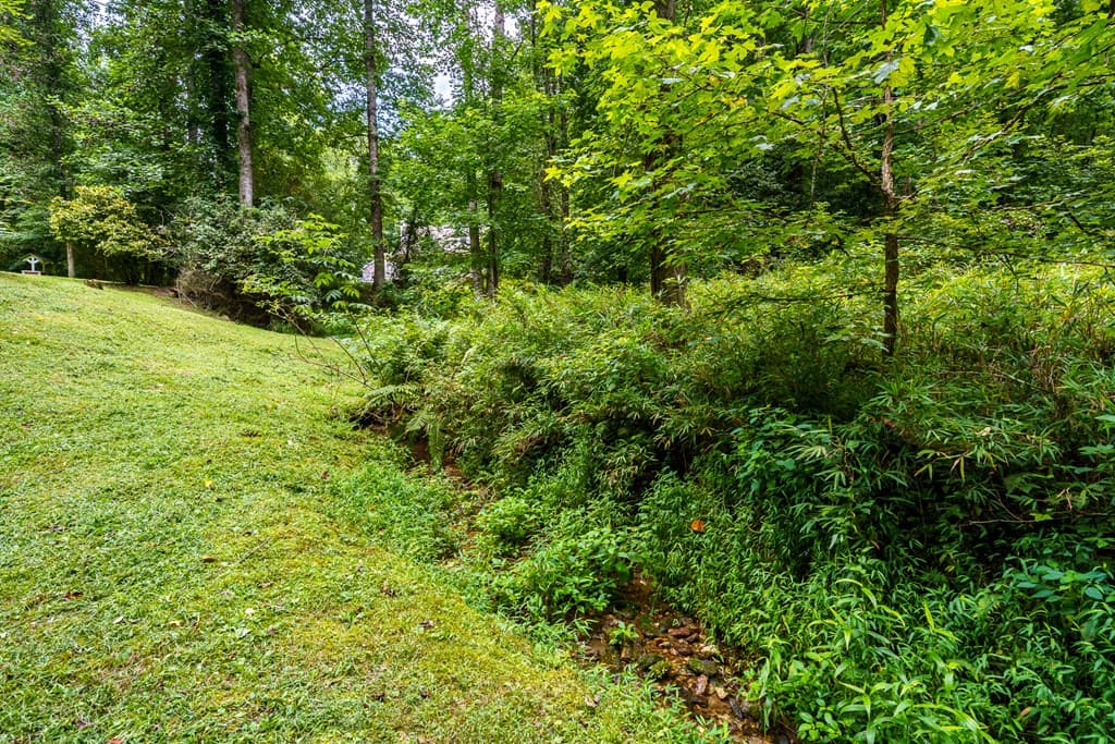 120 Shenendoa Drive, Ellijay GA 30540 - Photo