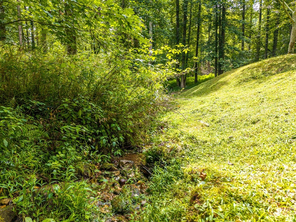 120 Shenendoa Drive, Ellijay GA 30540 - Photo