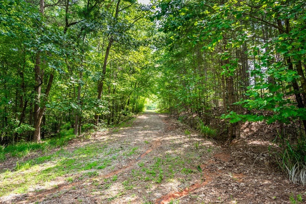 271 Big Sky Lane, Jasper GA 30143 - Photo