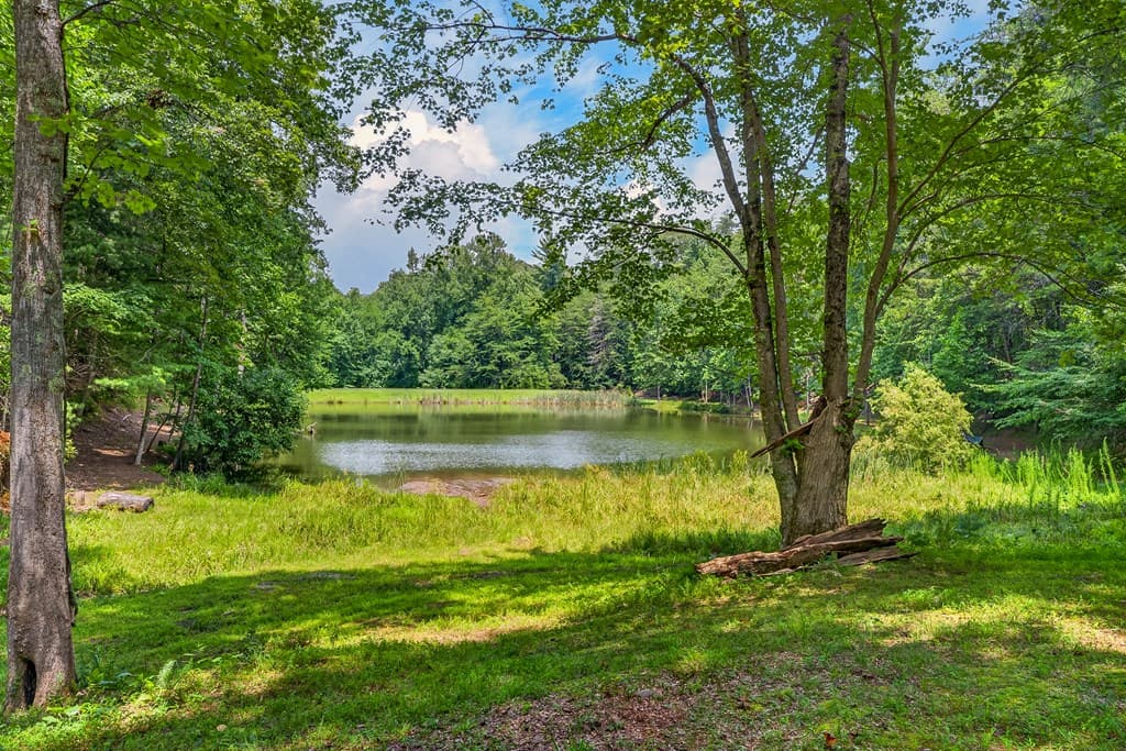 986 Mountain Oak Road, Ellijay GA 30536 - Photo