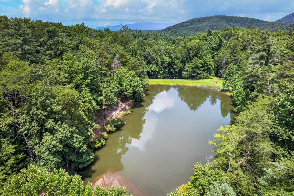 986 Mountain Oak Road, Ellijay GA 30536 - Photo