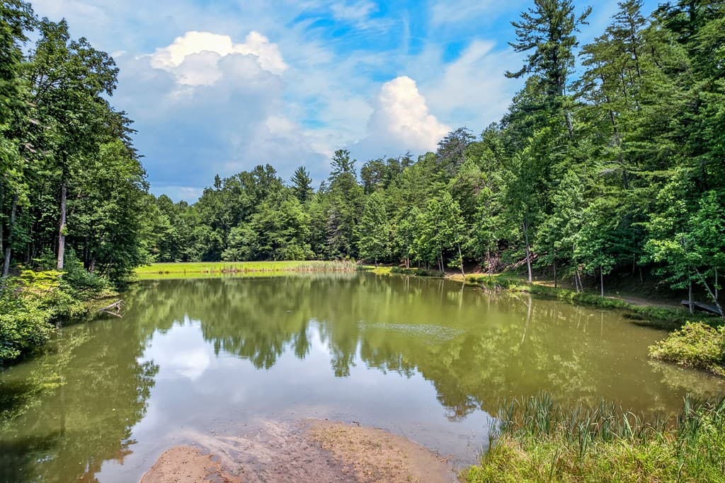 986 Mountain Oak Road, Ellijay GA 30536 - Photo