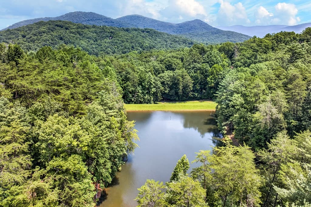 986 Mountain Oak Road, Ellijay GA 30536 - Photo