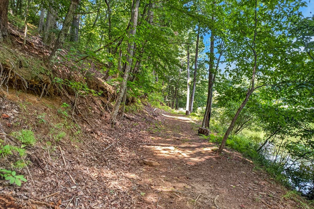 986 Mountain Oak Road, Ellijay GA 30536 - Photo