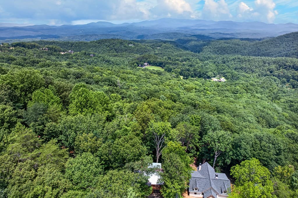 986 Mountain Oak Road, Ellijay GA 30536 - Photo