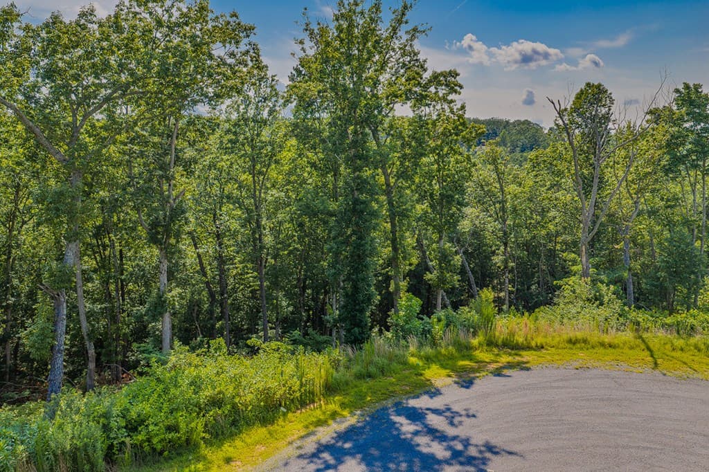 lot 84 High Summit Drive, Ellijay GA 30540 - Photo