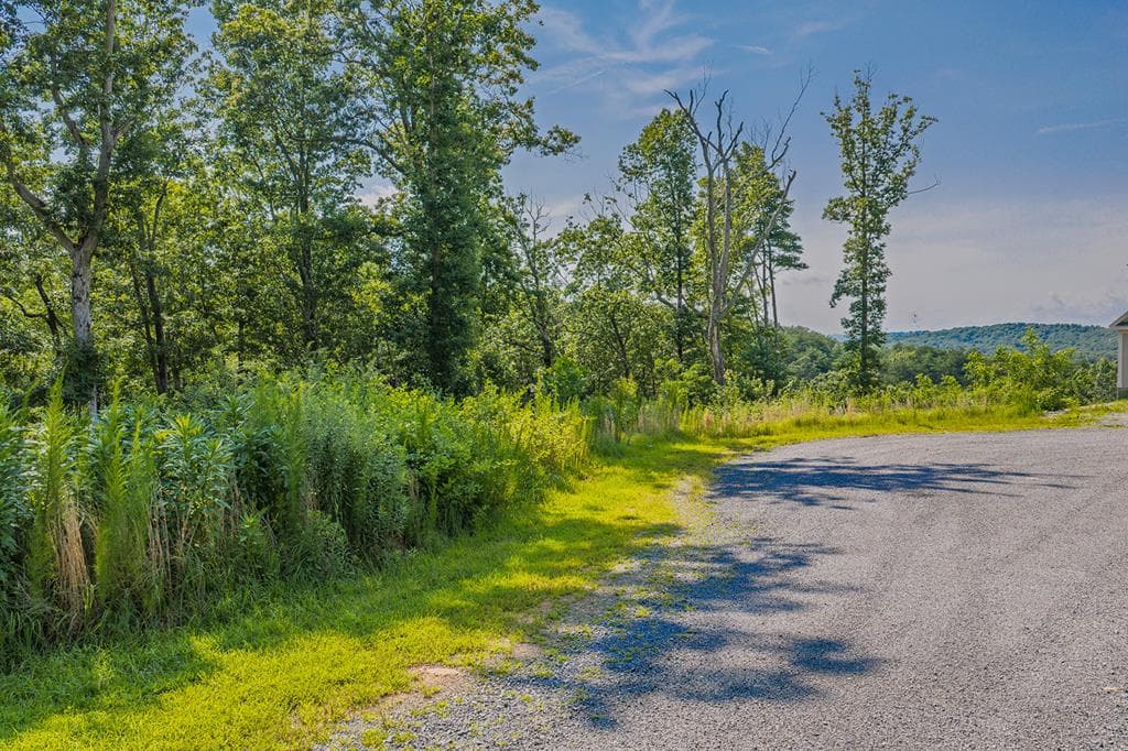 lot 84 High Summit Drive, Ellijay GA 30540 - Primary photo