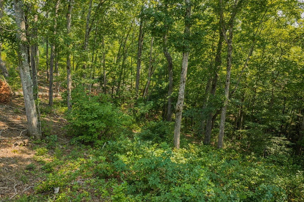 lot 84 High Summit Drive, Ellijay GA 30540 - Photo