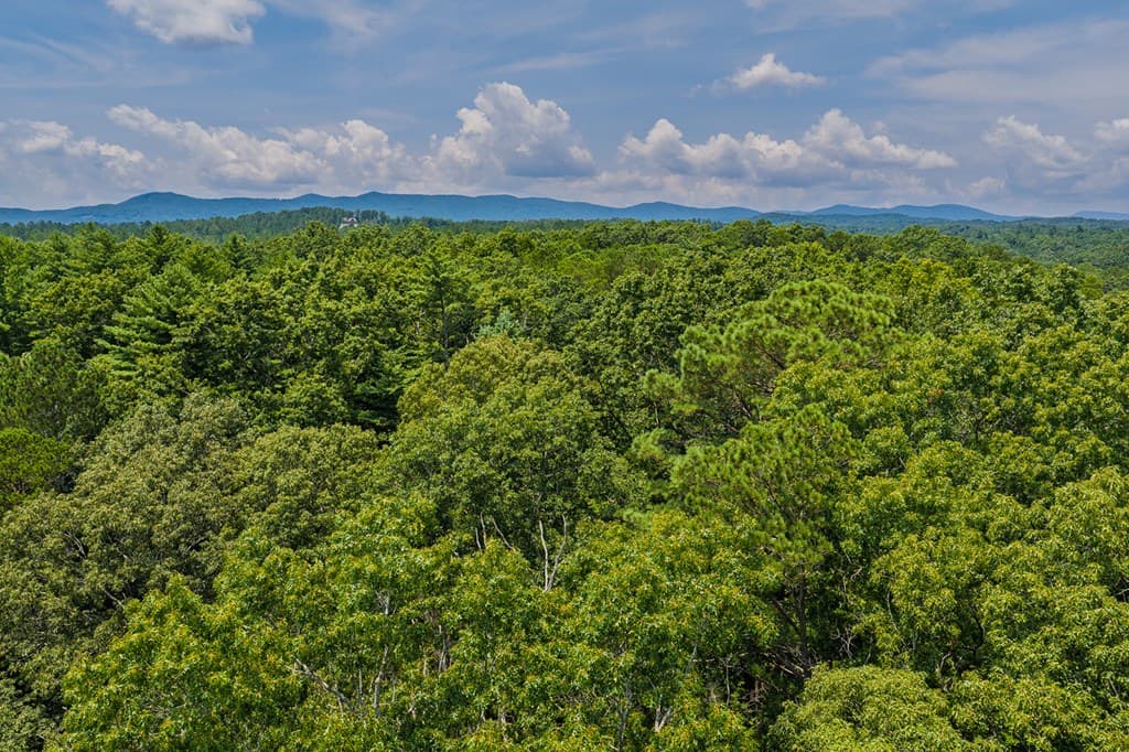Lot 166 Pinnacle Drive, Ellijay GA 30540 - Photo
