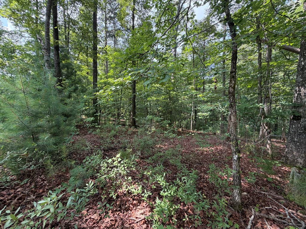 Lot 166 Pinnacle Drive, Ellijay GA 30540 - Photo