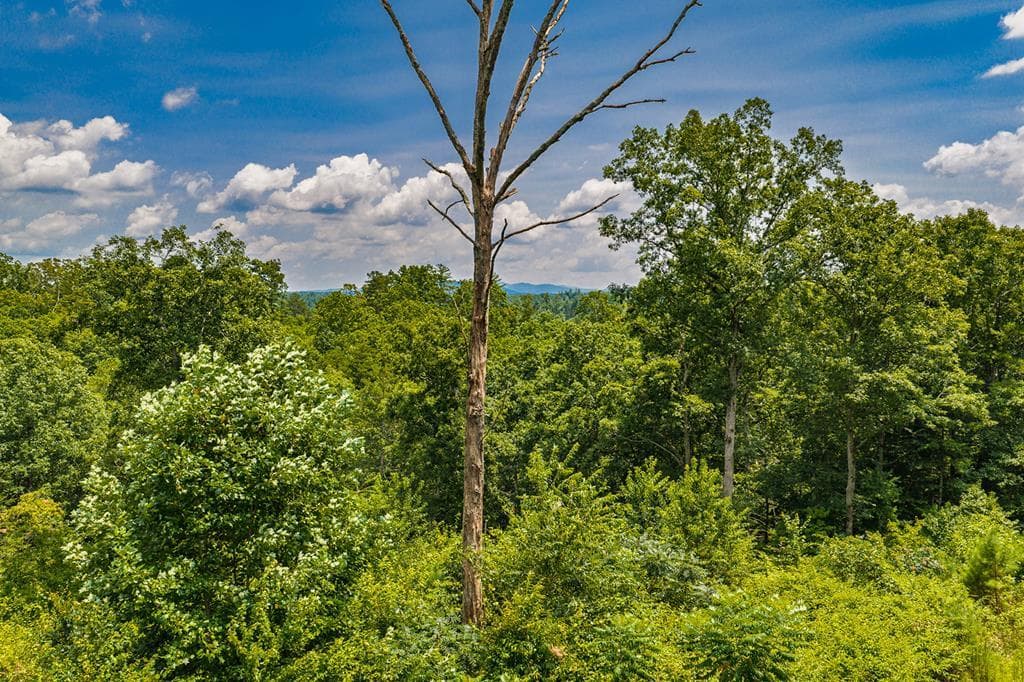 Lot 166 Pinnacle Drive, Ellijay GA 30540 - Photo