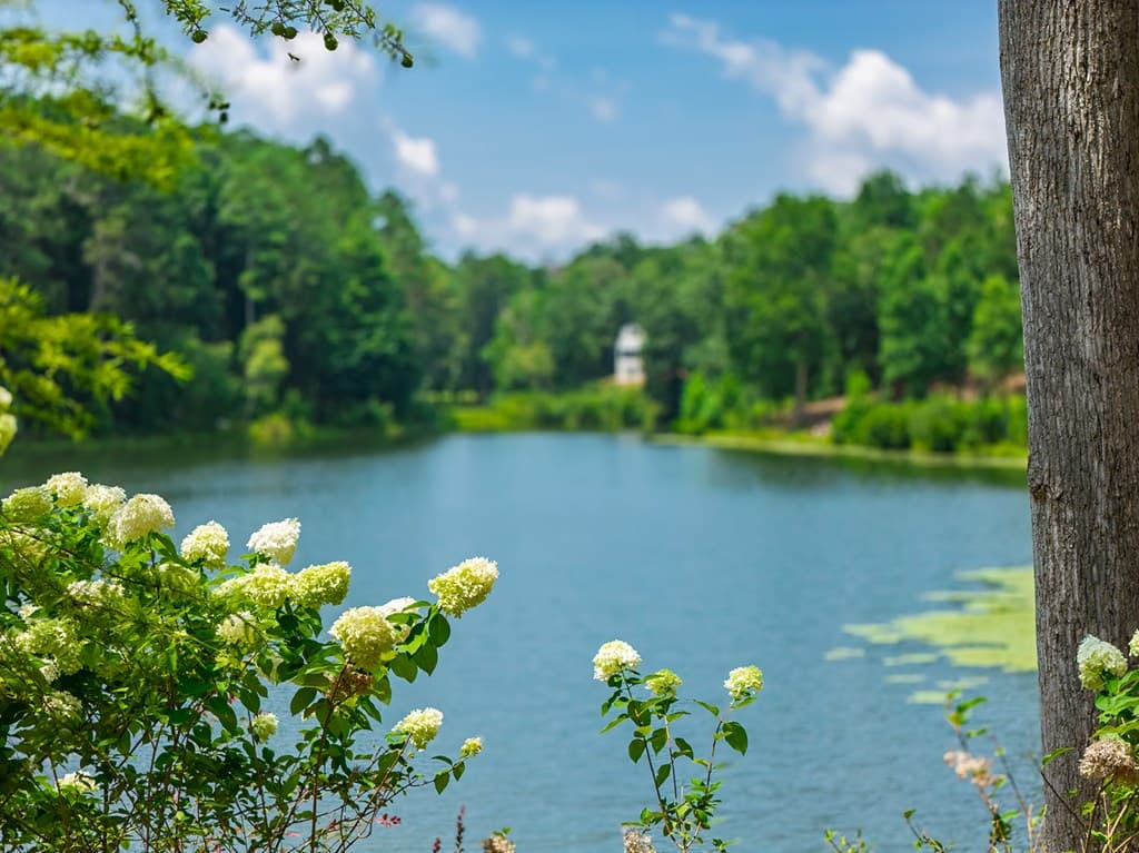 Lot 166 Pinnacle Drive, Ellijay GA 30540 - Photo