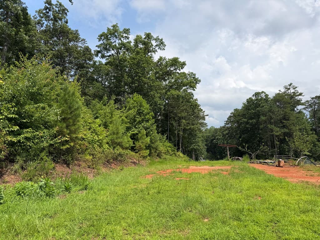Lot 166 Pinnacle Drive, Ellijay GA 30540 - Photo