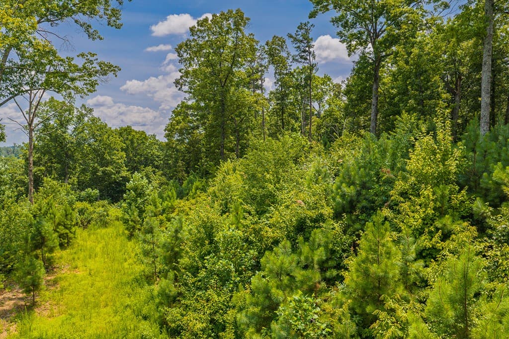 Lot 166 Pinnacle Drive, Ellijay GA 30540 - Photo