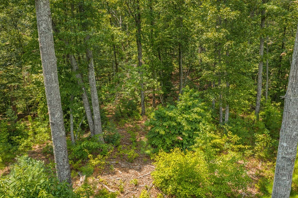 Lot 166 Pinnacle Drive, Ellijay GA 30540 - Photo