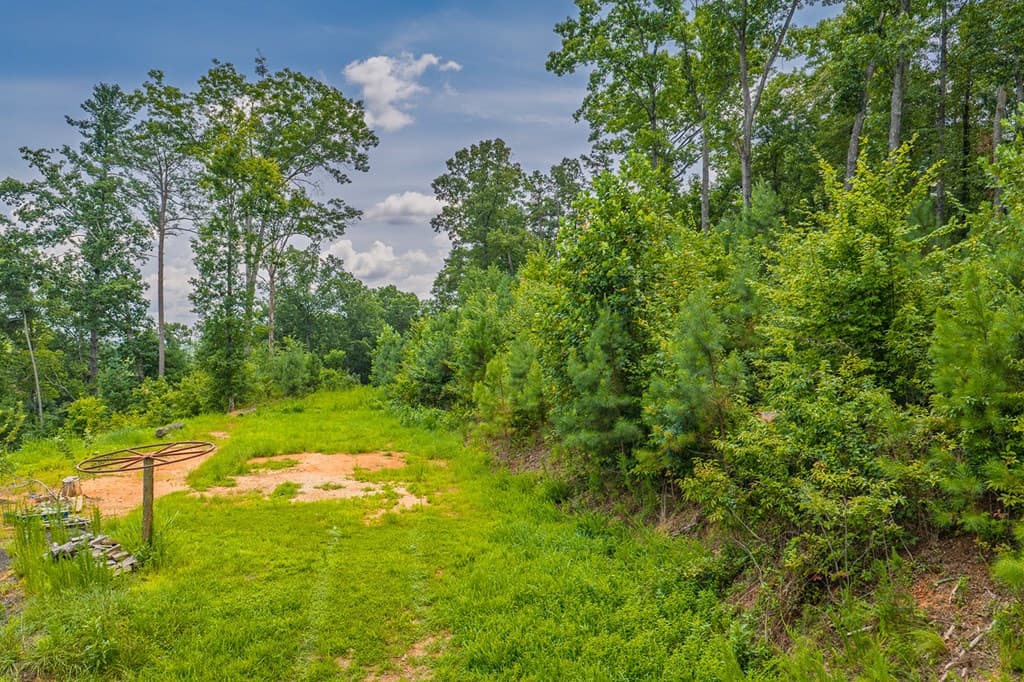 Lot 166 Pinnacle Drive, Ellijay GA 30540 - Photo