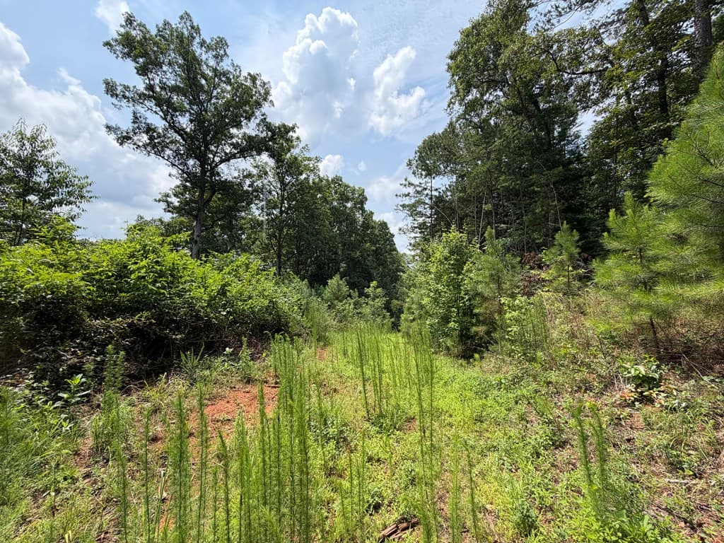 Lot 166 Pinnacle Drive, Ellijay GA 30540 - Photo