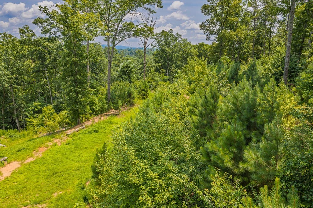 Lot 166 Pinnacle Drive, Ellijay GA 30540 - Photo