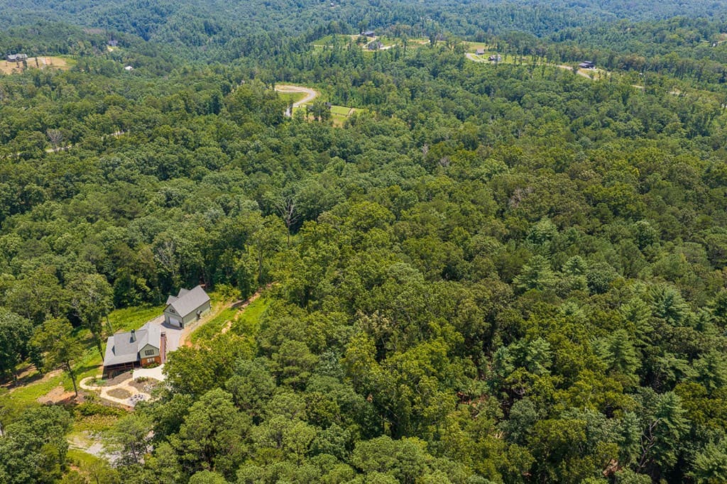 Lot 166 Pinnacle Drive, Ellijay GA 30540 - Photo
