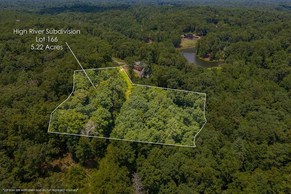 Lot 166 Pinnacle Drive, Ellijay GA 30540 - Photo
