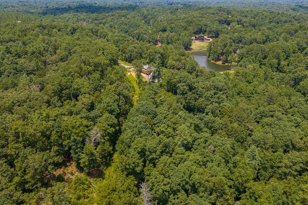 Lot 166 Pinnacle Drive, Ellijay GA 30540 - Photo