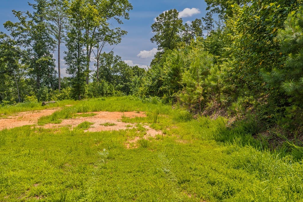 Lot 166 Pinnacle Drive, Ellijay GA 30540 - Photo