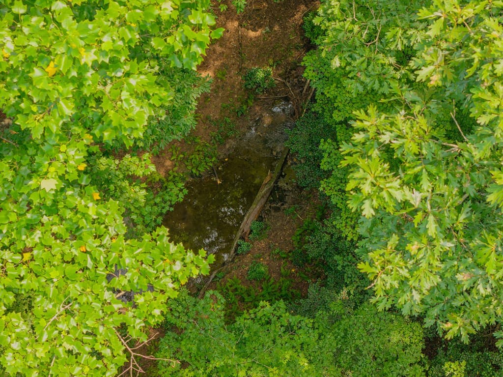 Lot 166 Pinnacle Drive, Ellijay GA 30540 - Photo