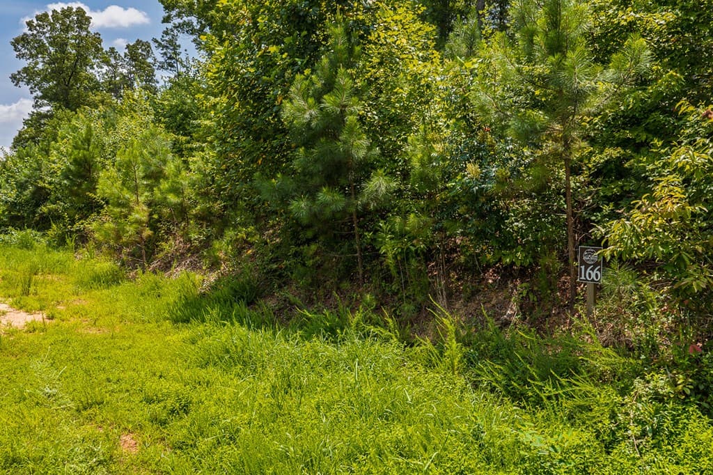 Lot 166 Pinnacle Drive, Ellijay GA 30540 - Photo
