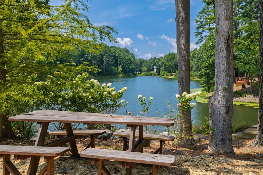 Lot 166 Pinnacle Drive, Ellijay GA 30540 - Photo