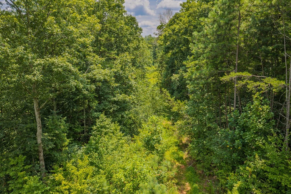 Lot 166 Pinnacle Drive, Ellijay GA 30540 - Photo