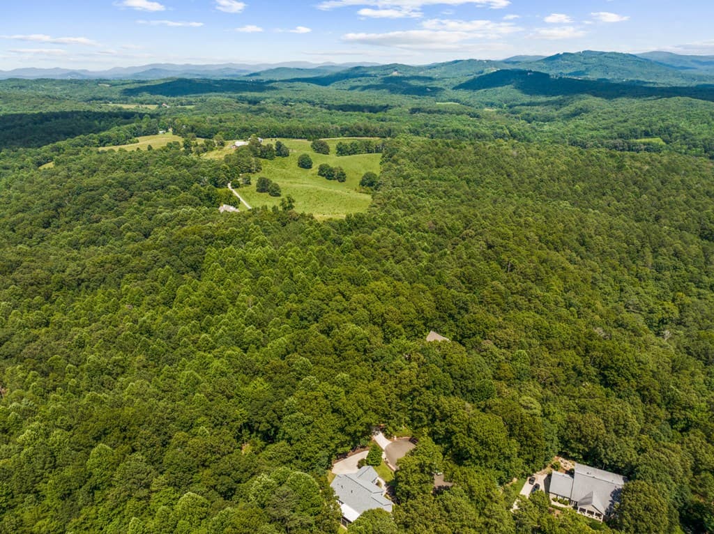 45 Hemlock Court, Talking Rock GA 30175 - Photo