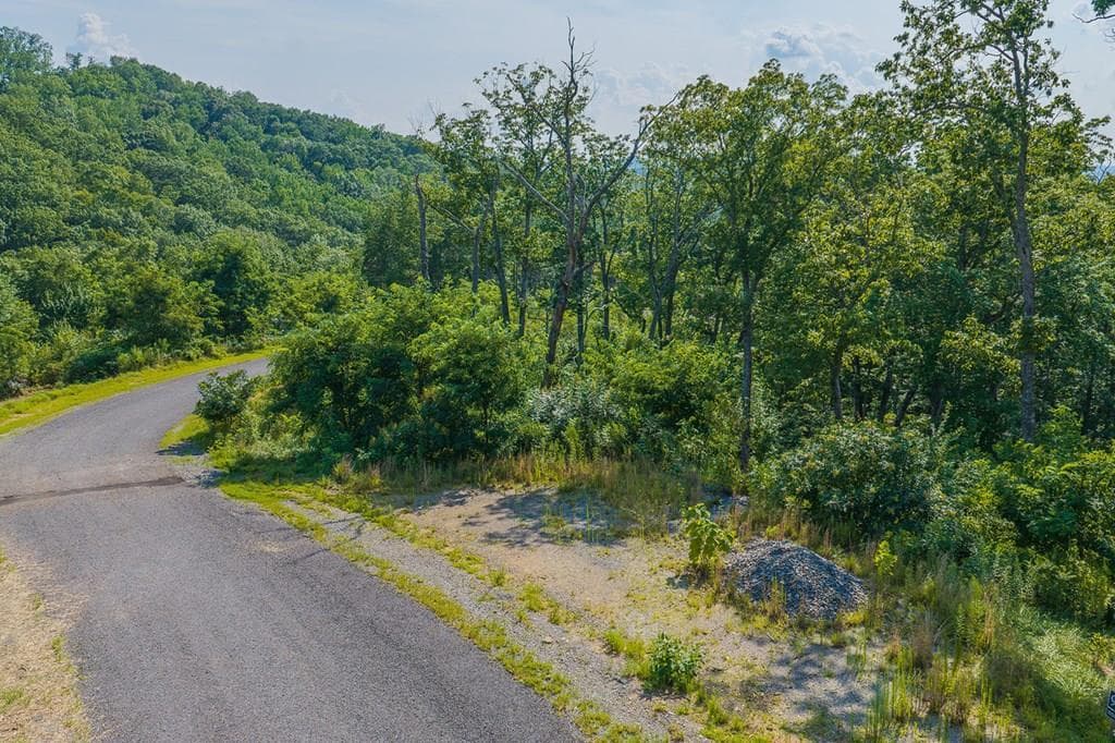 Lot 93 Timberline Trail, Ellijay GA 30540 - Photo