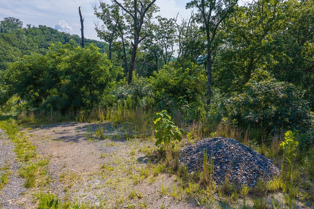 Lot 93 Timberline Trail, Ellijay GA 30540 - Photo