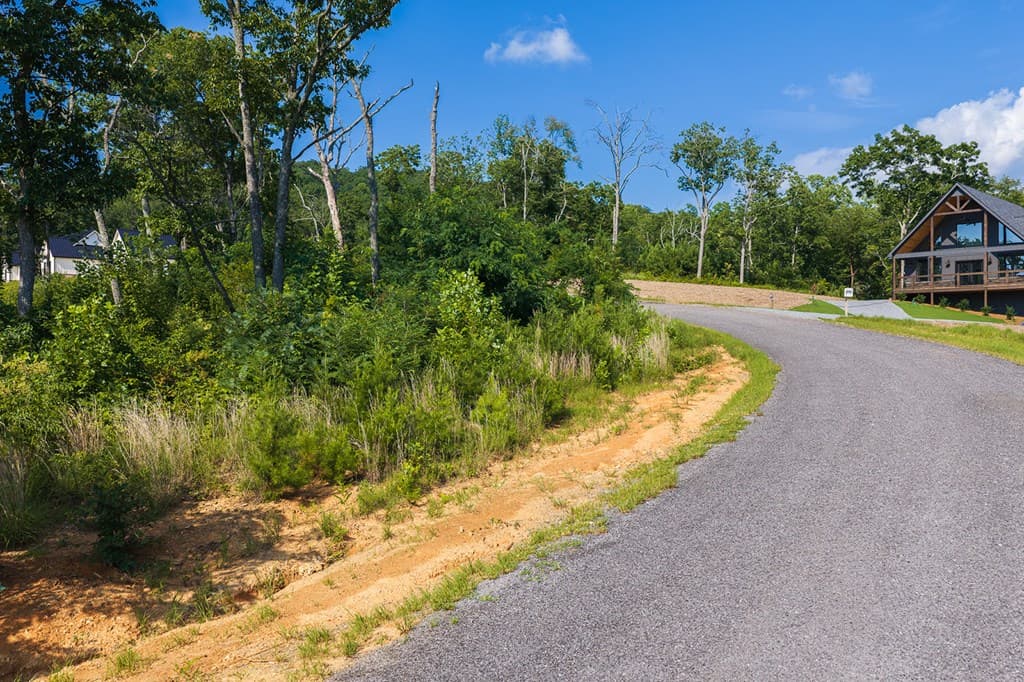 Lot 93 Timberline Trail, Ellijay GA 30540 - Photo