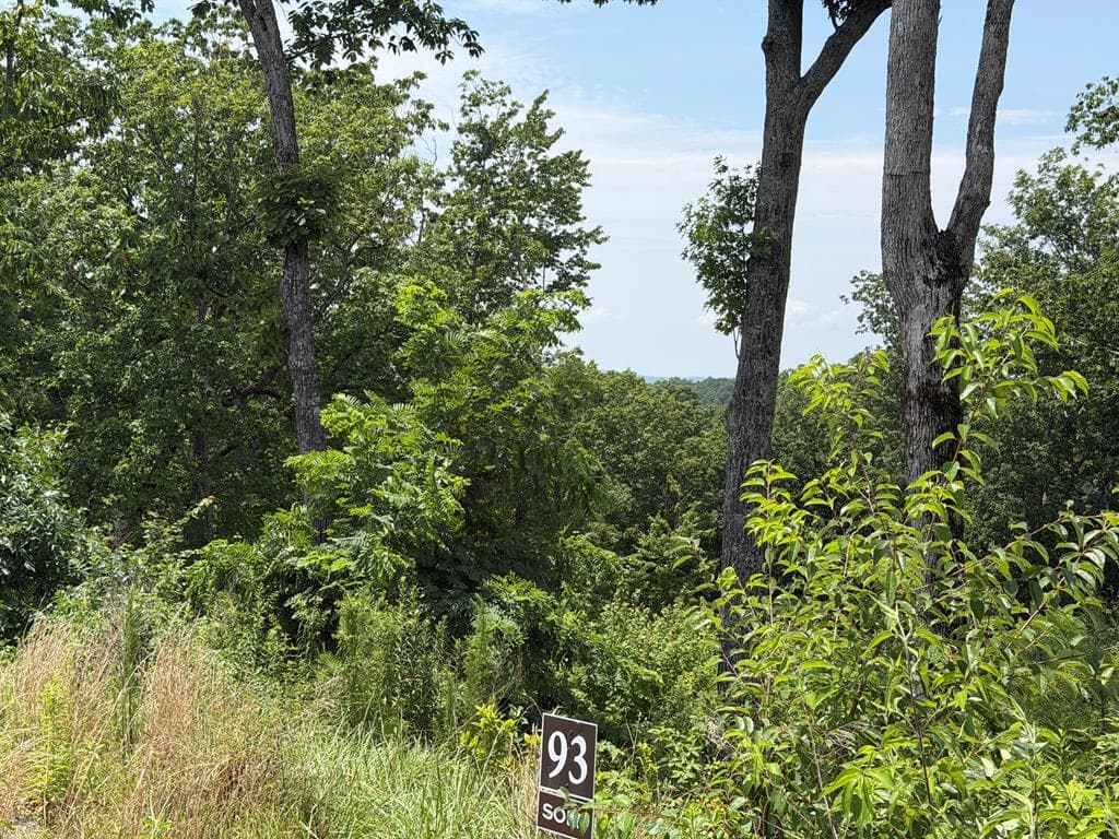 Lot 93 Timberline Trail, Ellijay GA 30540 - Photo