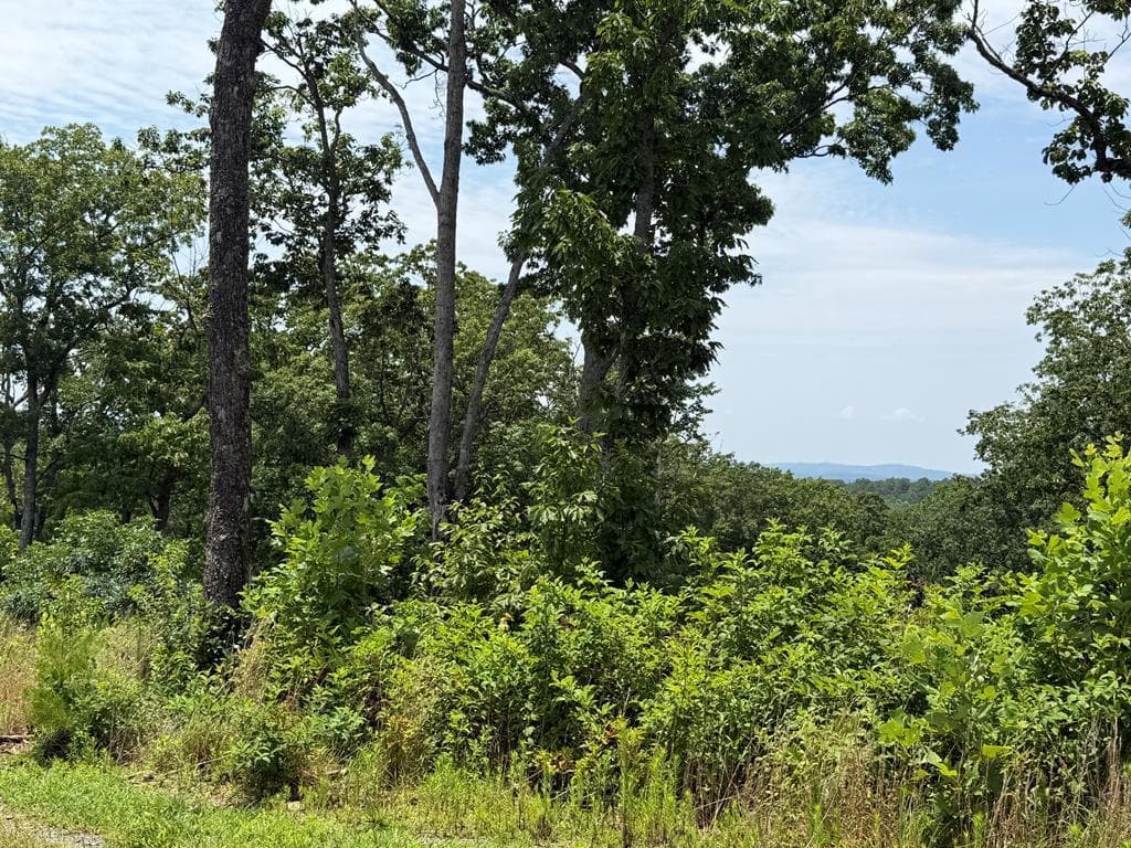 Lot 93 Timberline Trail, Ellijay GA 30540 - Primary photo