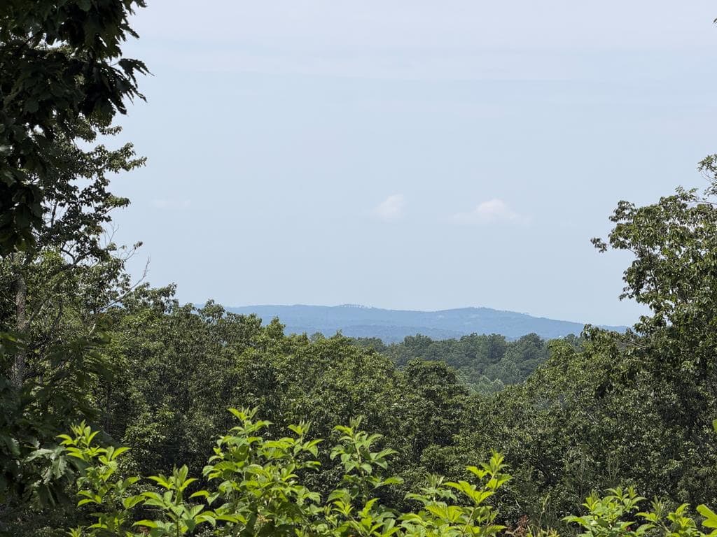 Lot 93 Timberline Trail, Ellijay GA 30540 - Photo