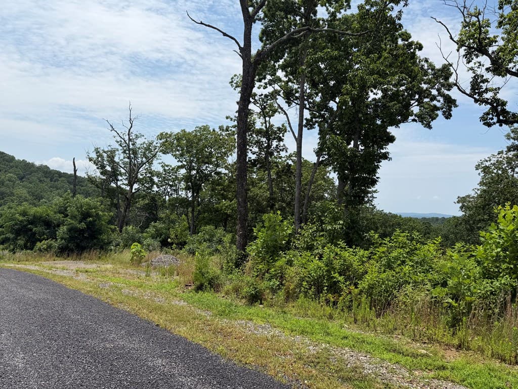 Lot 93 Timberline Trail, Ellijay GA 30540 - Photo