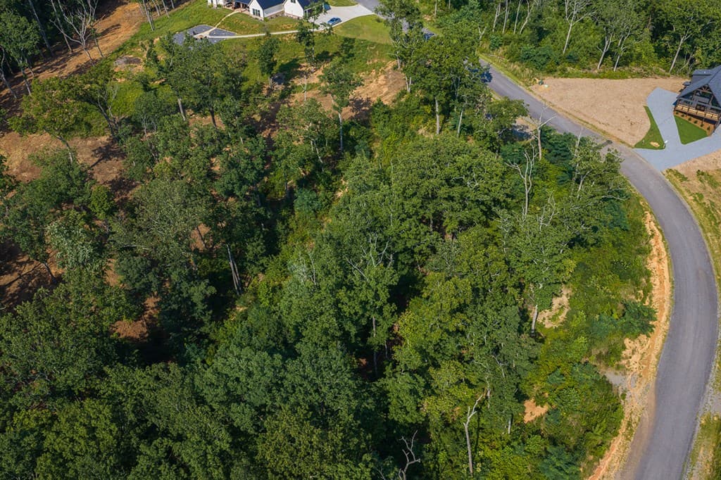 Lot 93 Timberline Trail, Ellijay GA 30540 - Photo