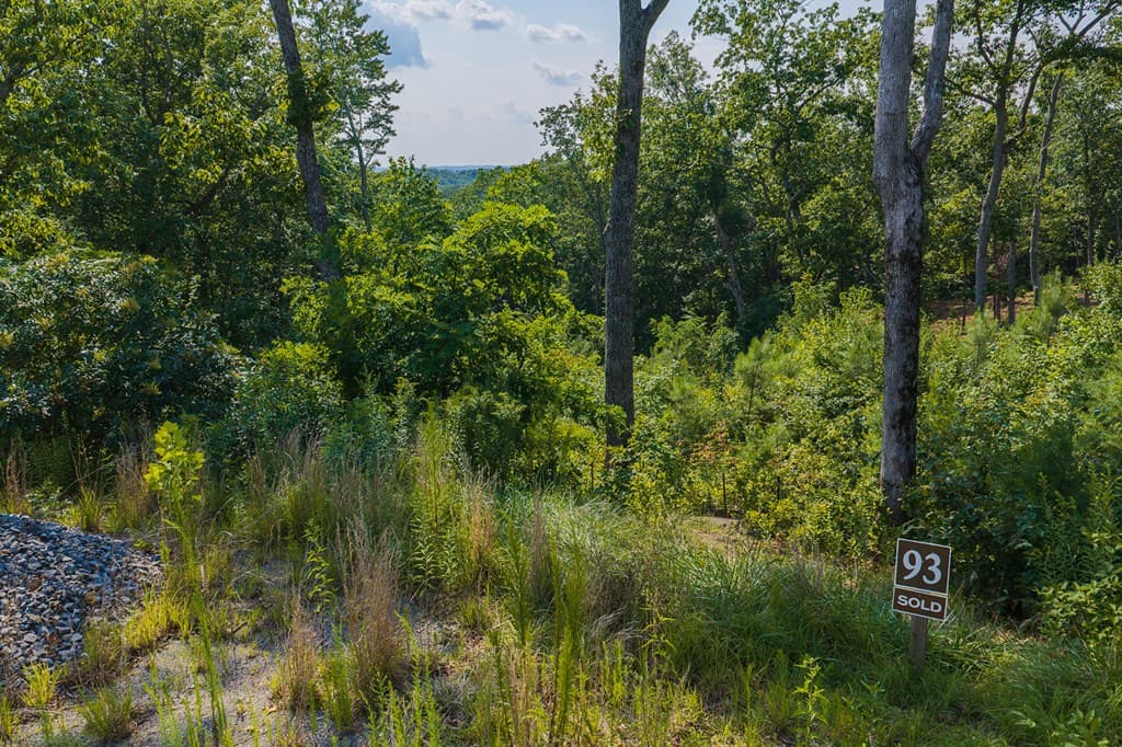 Lot 93 Timberline Trail, Ellijay GA 30540 - Photo