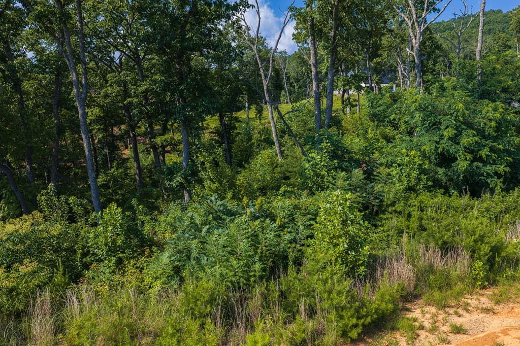 Lot 93 Timberline Trail, Ellijay GA 30540 - Photo