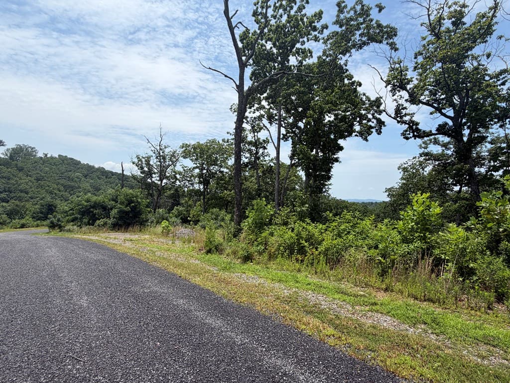 Lot 93 Timberline Trail, Ellijay GA 30540 - Photo
