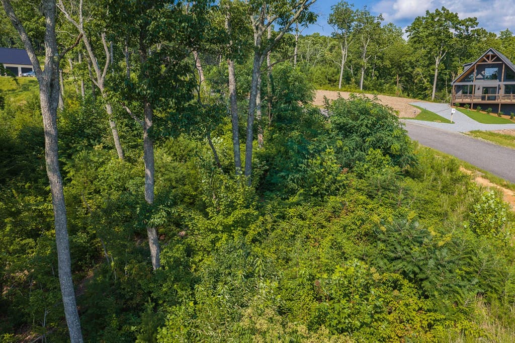 Lot 93 Timberline Trail, Ellijay GA 30540 - Photo