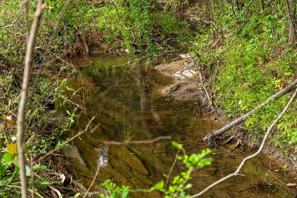 0 Hwy 411n, Chatsworth GA 30708 - Photo